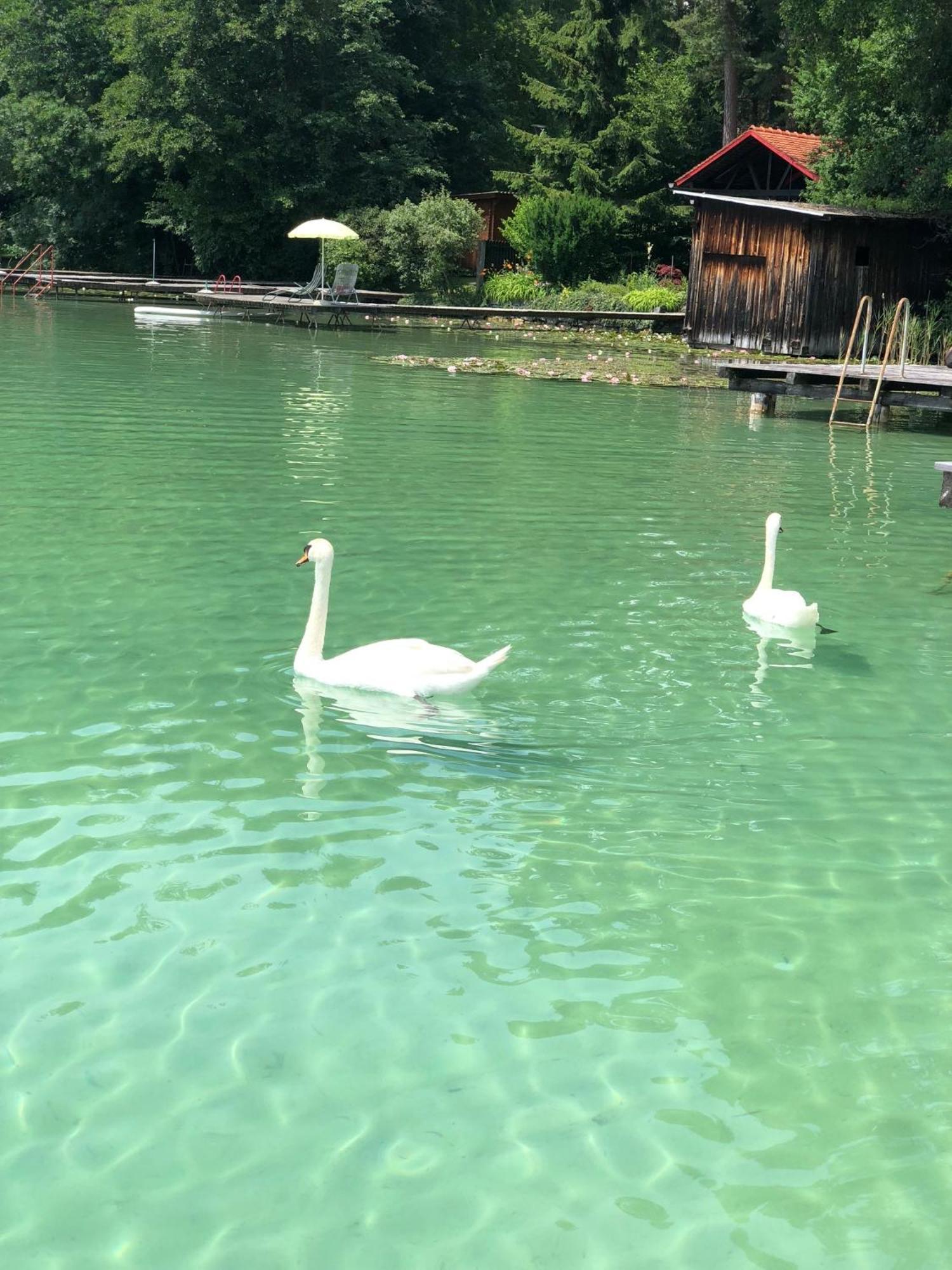 Hotel Alex Sankt Kanzian am Klopeiner See Kültér fotó